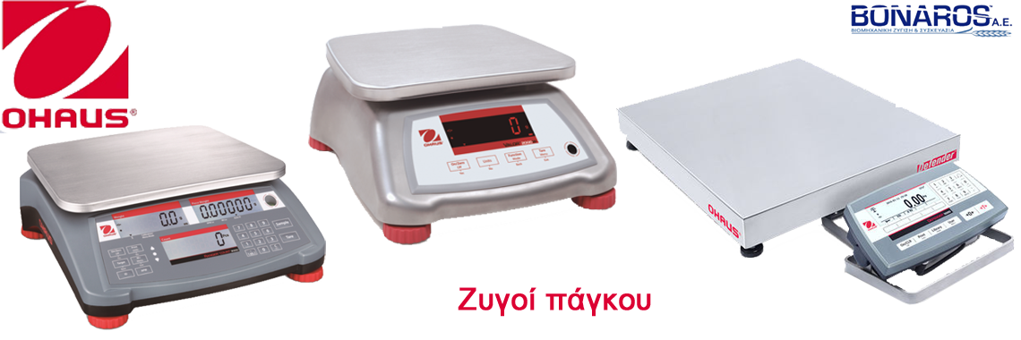 Ζυγοί πάγκου